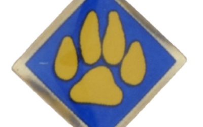 Boy Scouts of America Recalls Cub Scout Activity Pins